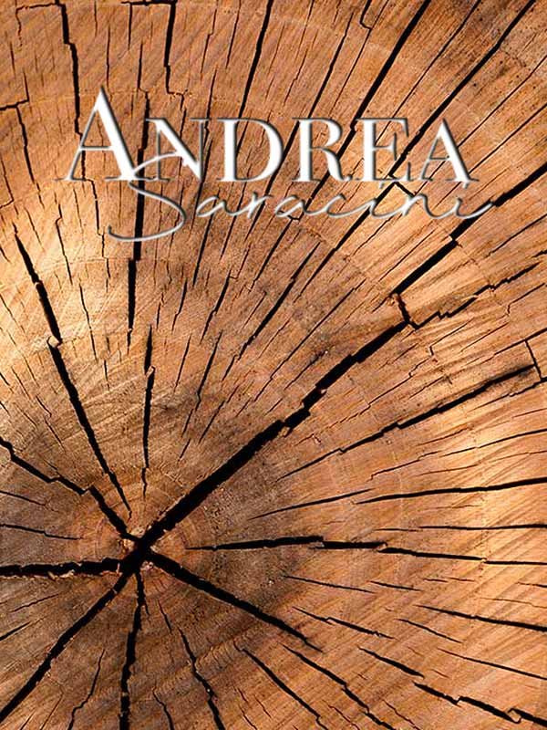foto-legno